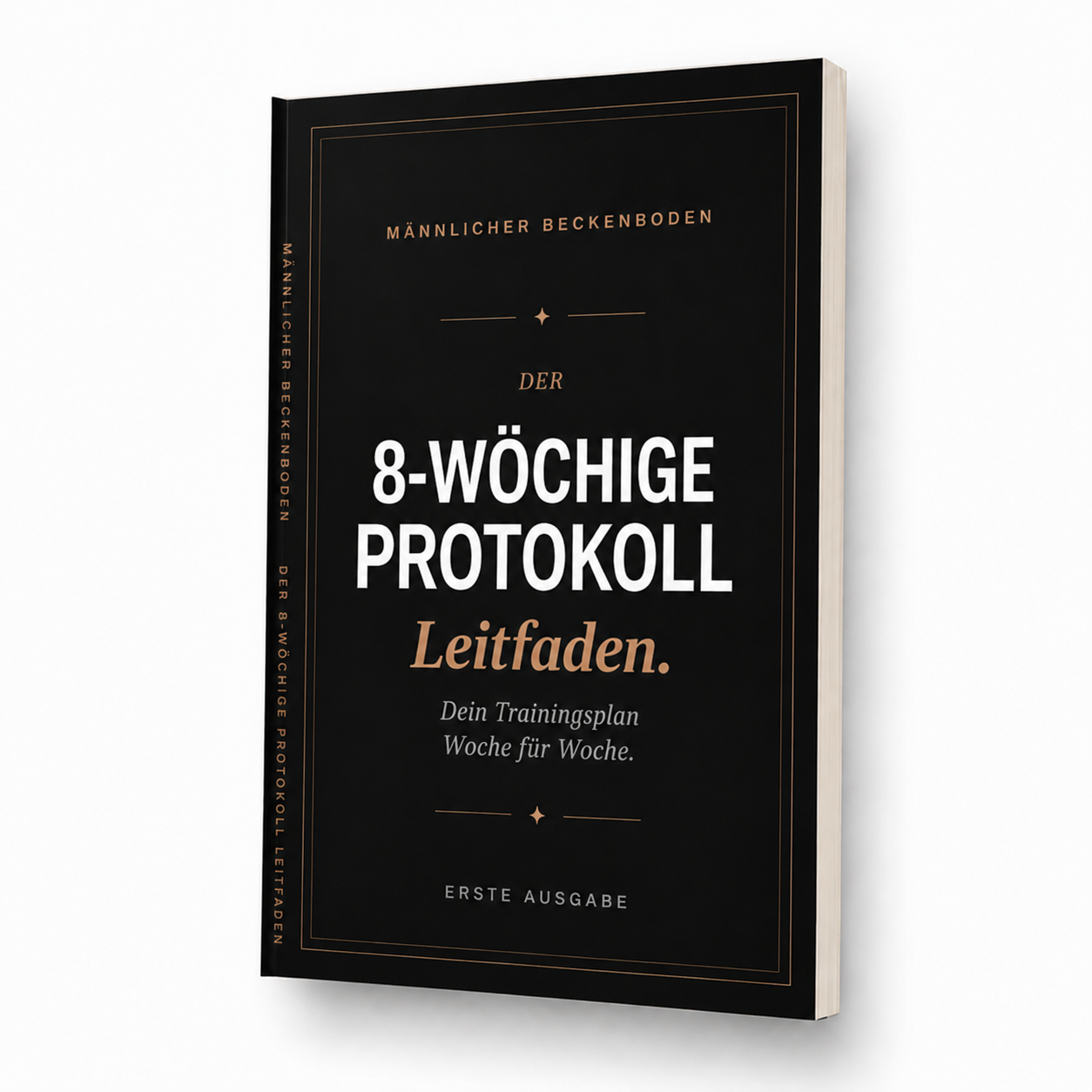 Trainingsprotokoll